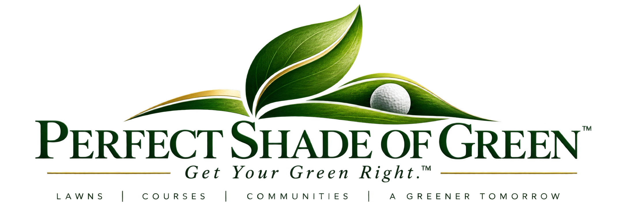 Perfect Shade of Green